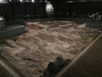 nanjing massacre bodies  Nanjing massacre.